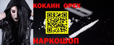 гидропоника Камышлов