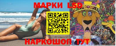 гидропоника Камышлов