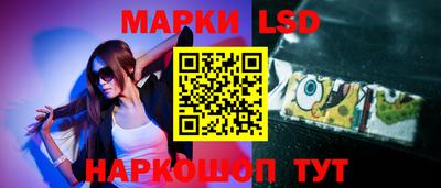 гидропоника Камышлов