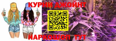 гидропоника Камышлов