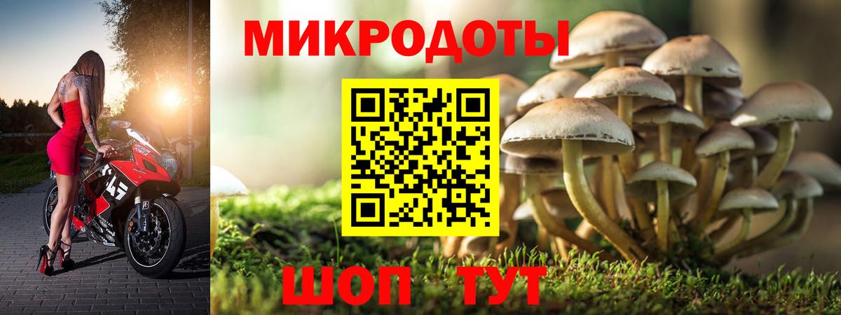 Кстово  Галлюциногенные грибы Psilocybe  купить наркоту  Псилоцибиновые грибы GOLDEN TEACHER  Вход с VPN 